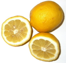 Zitrone-2.jpg